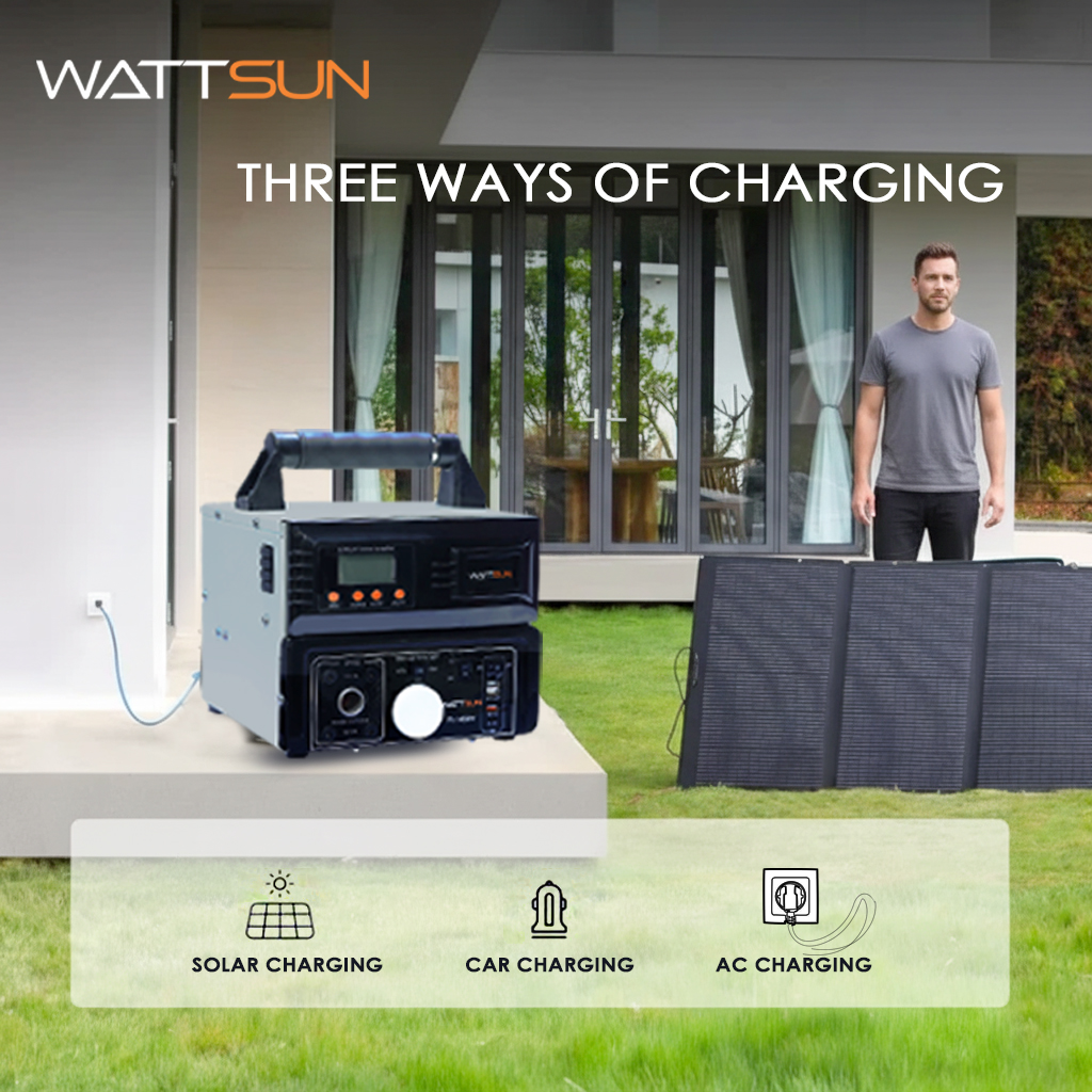 PL-1450W 1450VA Pure Sine Wave Portable Lithium Inverter with 100Ah LiFePO4 Battery